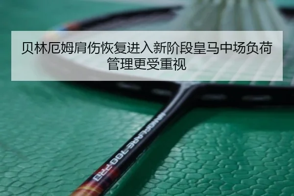 bei-lin-e-mu-jian-shang-hui-fu-jin-ru-xin-jie-duan-huang-ma-zhong-chang-fu-he-guan-li-geng-shou-zhong-shi-2-826.jpg