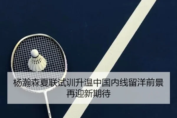 杨瀚森夏联试训升温中国内线留洋前景再迎新期待